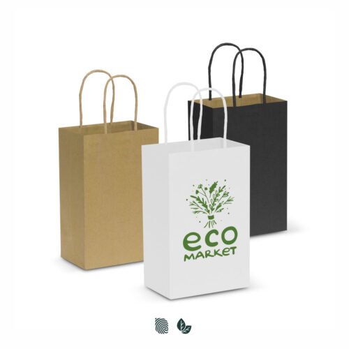 107582_1 Paper Carry Bag - Small