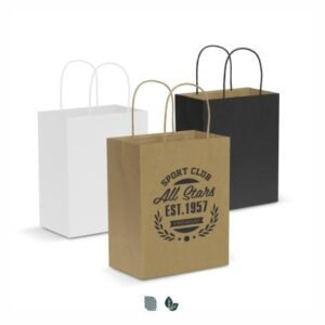 107586-0 Paper Carry Bag - Medium