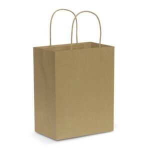 107586-2 Paper Carry Bag - Medium
