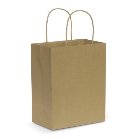 107586-2 Paper Carry Bag - Medium
