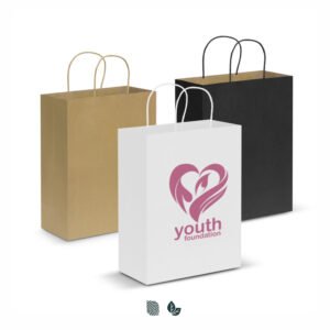107590_1 Paper Carry Bag - Large