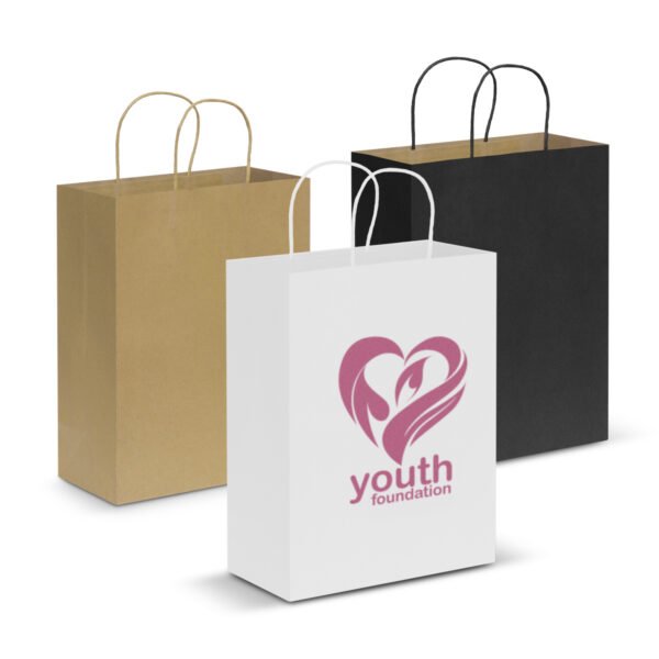 107590_2 Paper Carry Bag - Large