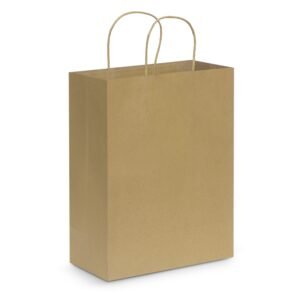 107590_3 Paper Carry Bag - Large