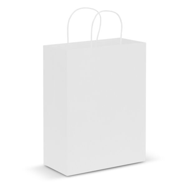 107590_4 Paper Carry Bag - Large