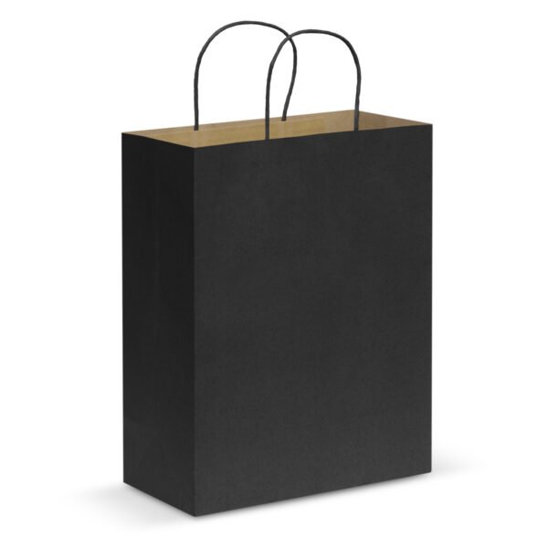 107590_5 Paper Carry Bag - Large