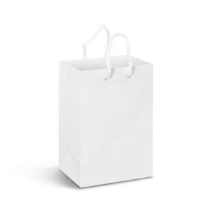 116934-1 Small Laminated Paper Carry Bag - Full Colour