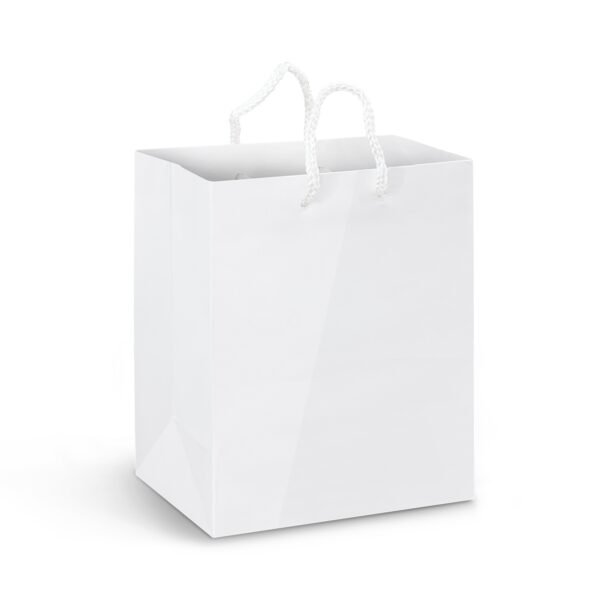 116936_2 Medium Laminated Paper Carry Bag - Full Colour