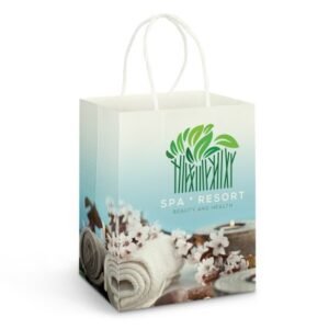 116937-0 Large Paper Carry Bag - Full Colour