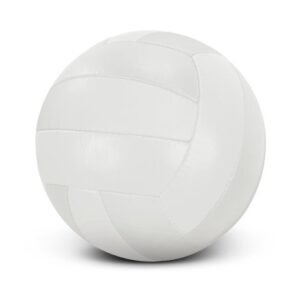 117256-1 Volleyball Pro