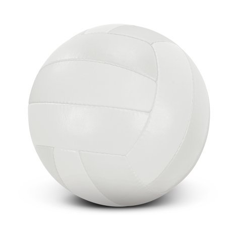 117256-1 Volleyball Pro