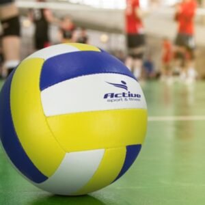 117256-2 Volleyball Pro