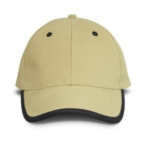 119547-2 Springfield Cap