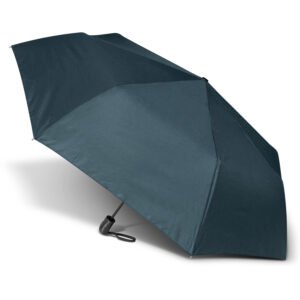 120122_2 Economist Umbrella