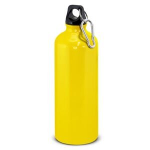 120513-3 Intrepid Bottle - 800ml