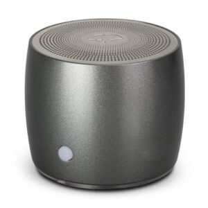 120860-1 Swiss Peak Bass Speaker