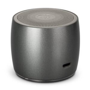 120860-2 Swiss Peak Bass Speaker