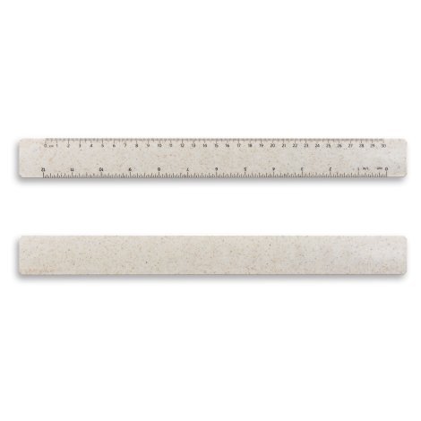 123154-1 Choice Ruler - 30cm