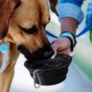 123710-7 Silicone Collapsible Pet Bowl
