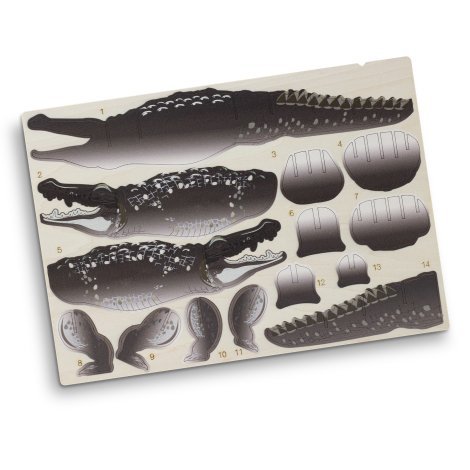 124045-2 BRANDCRAFT Crocodile Wooden Model