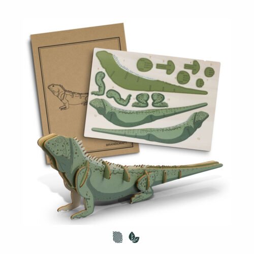 124046_1 BRANDCRAFT Tuatara Wooden Model