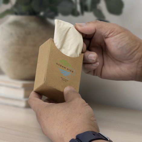 124160-4 Travel Tissues
