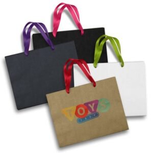 125058-0 Large Ribbon Handle Paper Bag