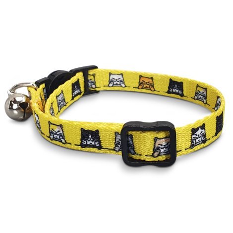 125072-1 Amigo Cat Collar