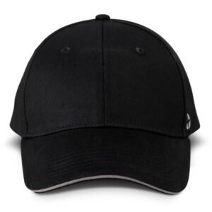 126403-2 Swiss Peak 6 Panel Cap